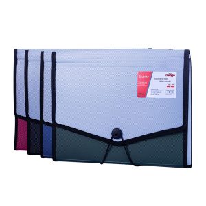 Fascikla PVC sa 12 pregrada i lastišom A4
